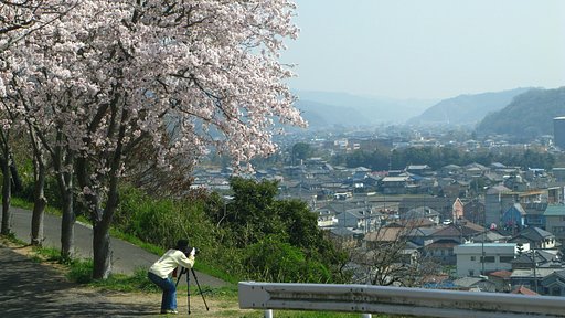 撮る人を撮る