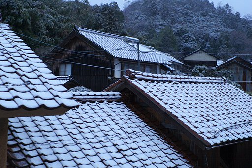春の雪！