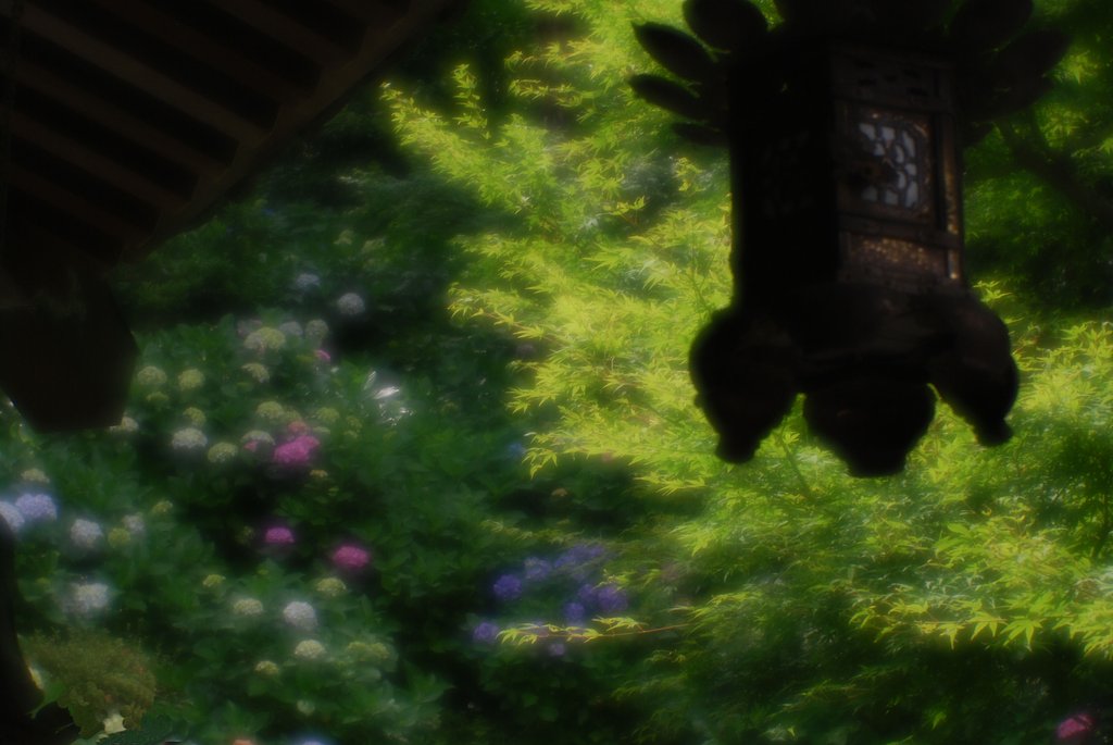 長谷寺にて