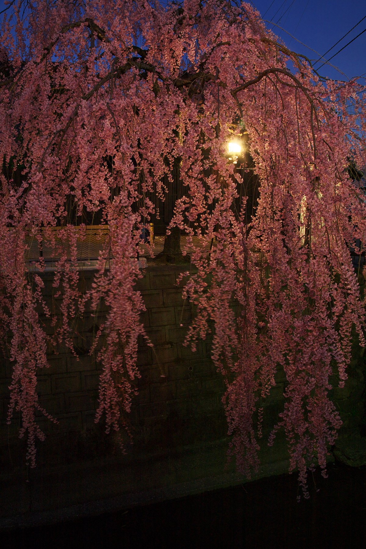 石橋屋