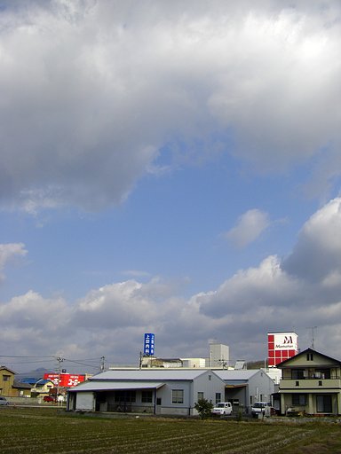 冬型
