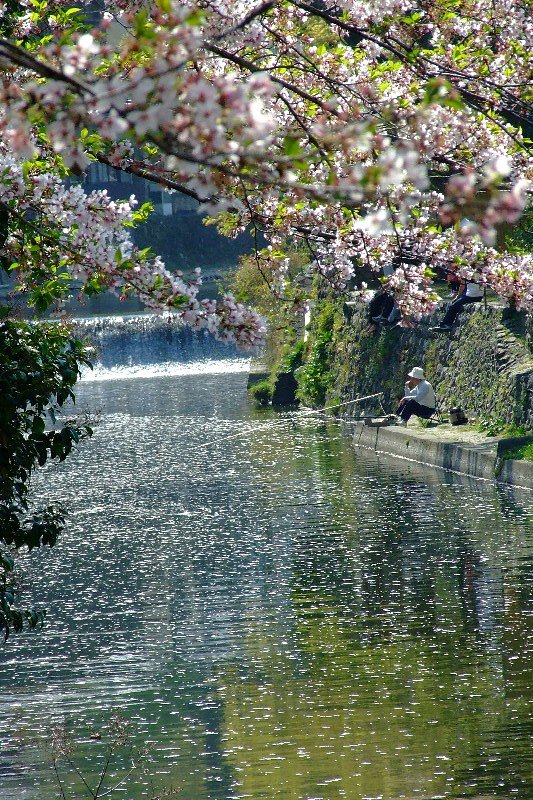 春の陽気の中で