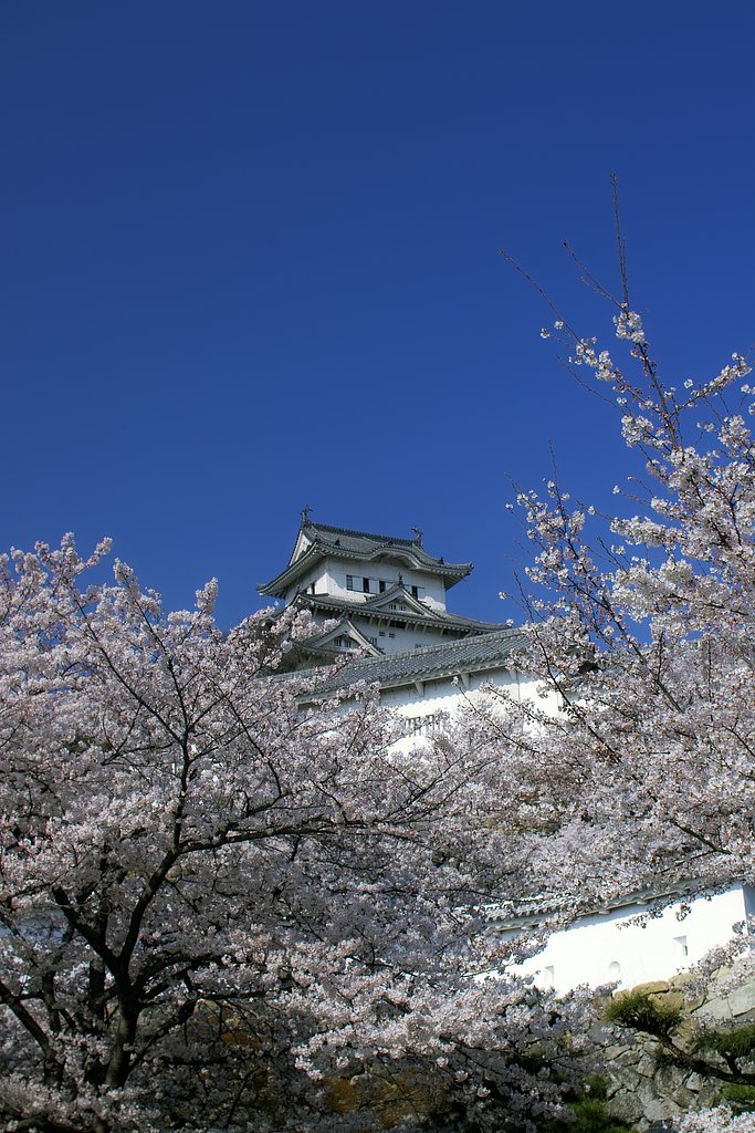 平成の大修理