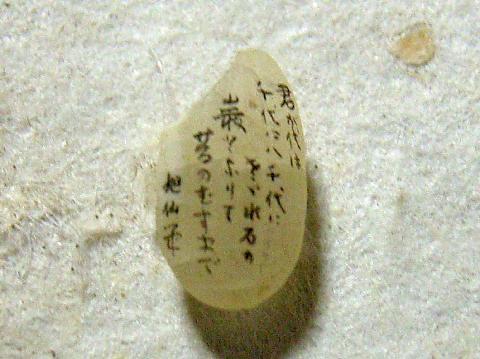 米粒に極細字