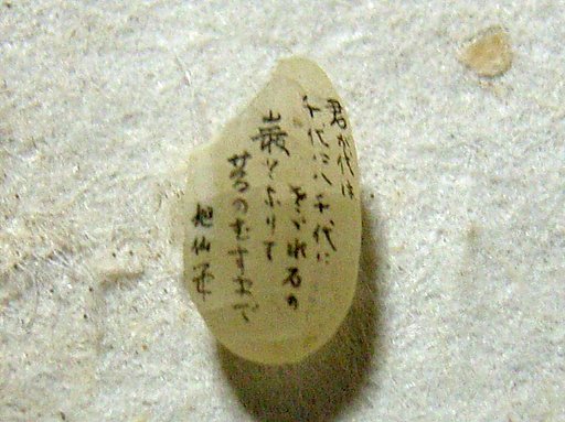 米粒に極細字