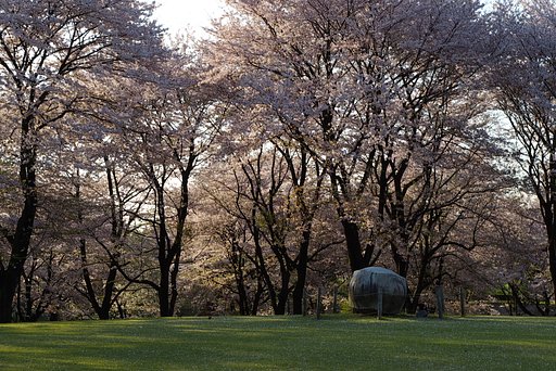 桜林