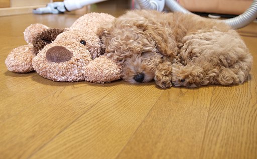 ともだち　その２