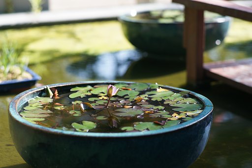 CONTAX Planar 1.4/85 T*