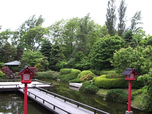 庭