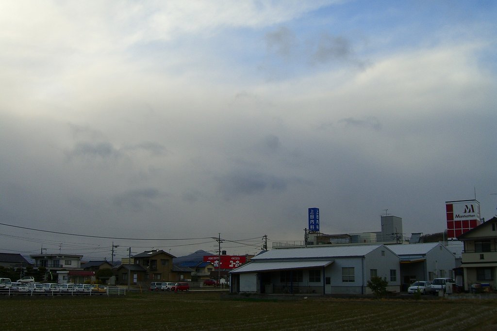 降りだしました