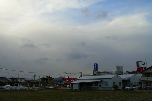 降りだしました