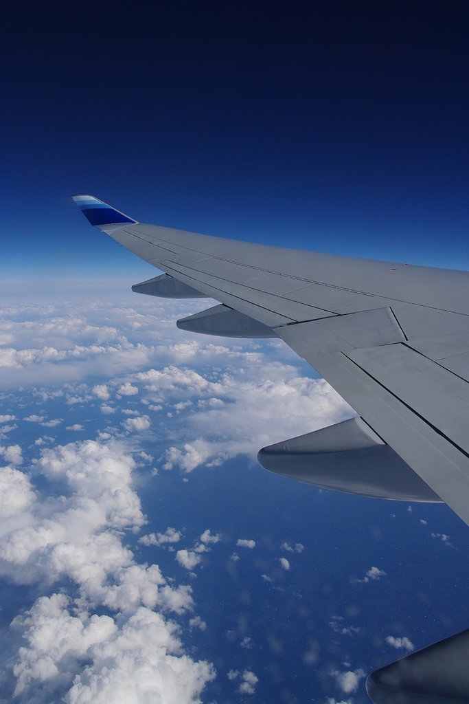 空と翼