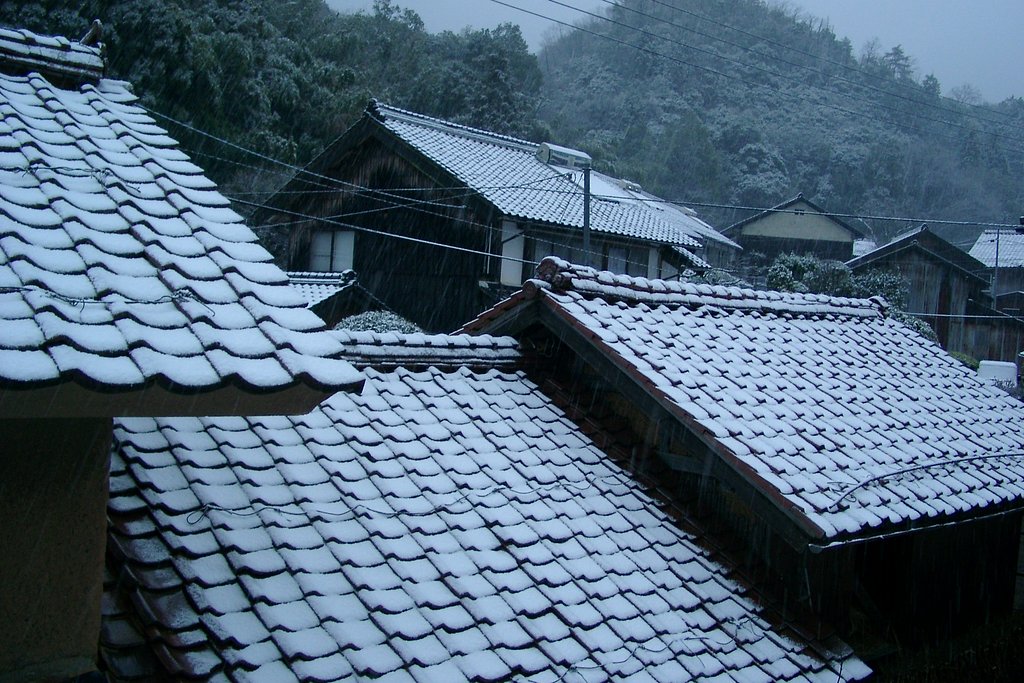 山陰に春の雪！