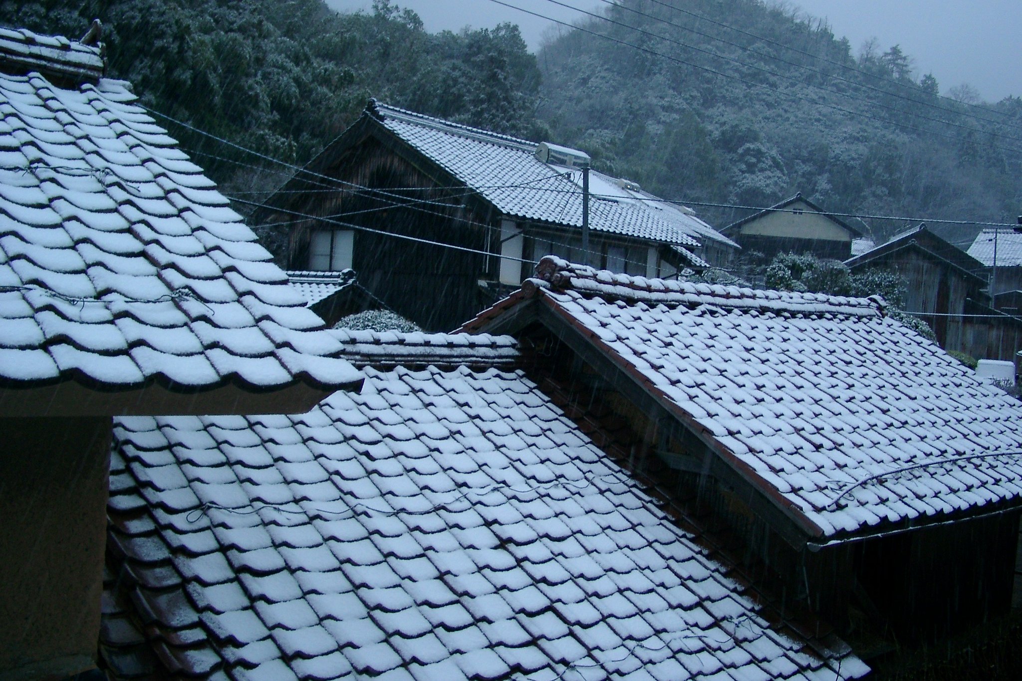 山陰に春の雪！