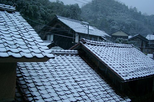 山陰に春の雪！