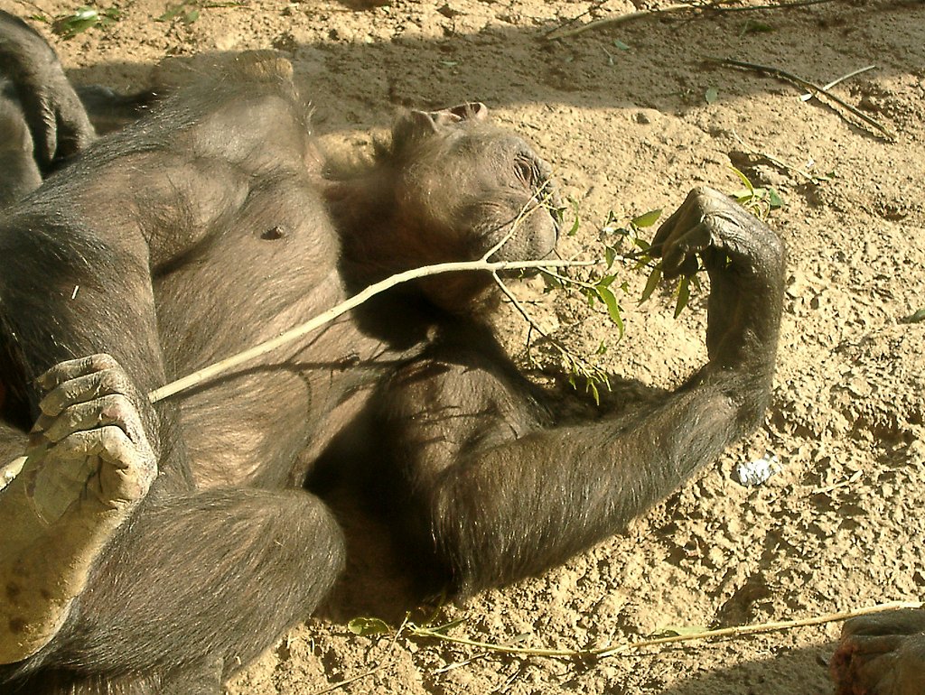 ◆冬の動物園から-49