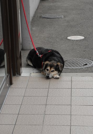 まだかな