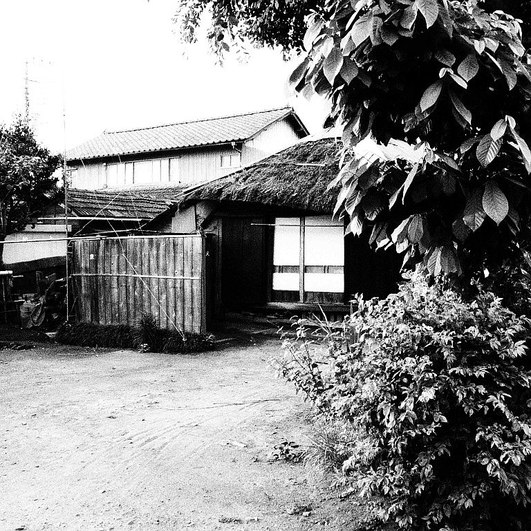藁葺き屋根・・・