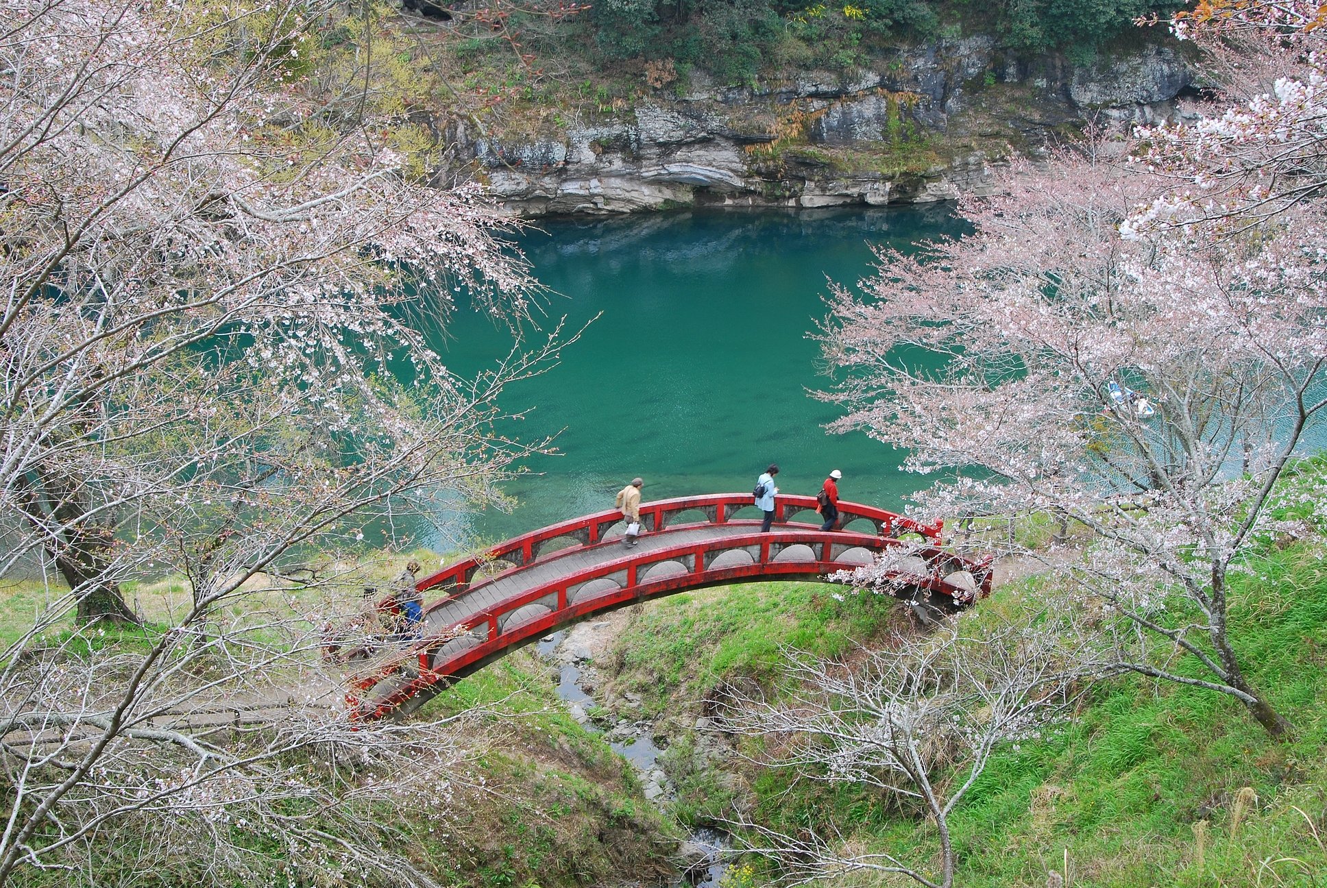 桜淵公園