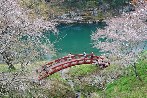 桜淵公園