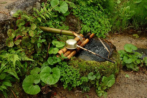 水と緑