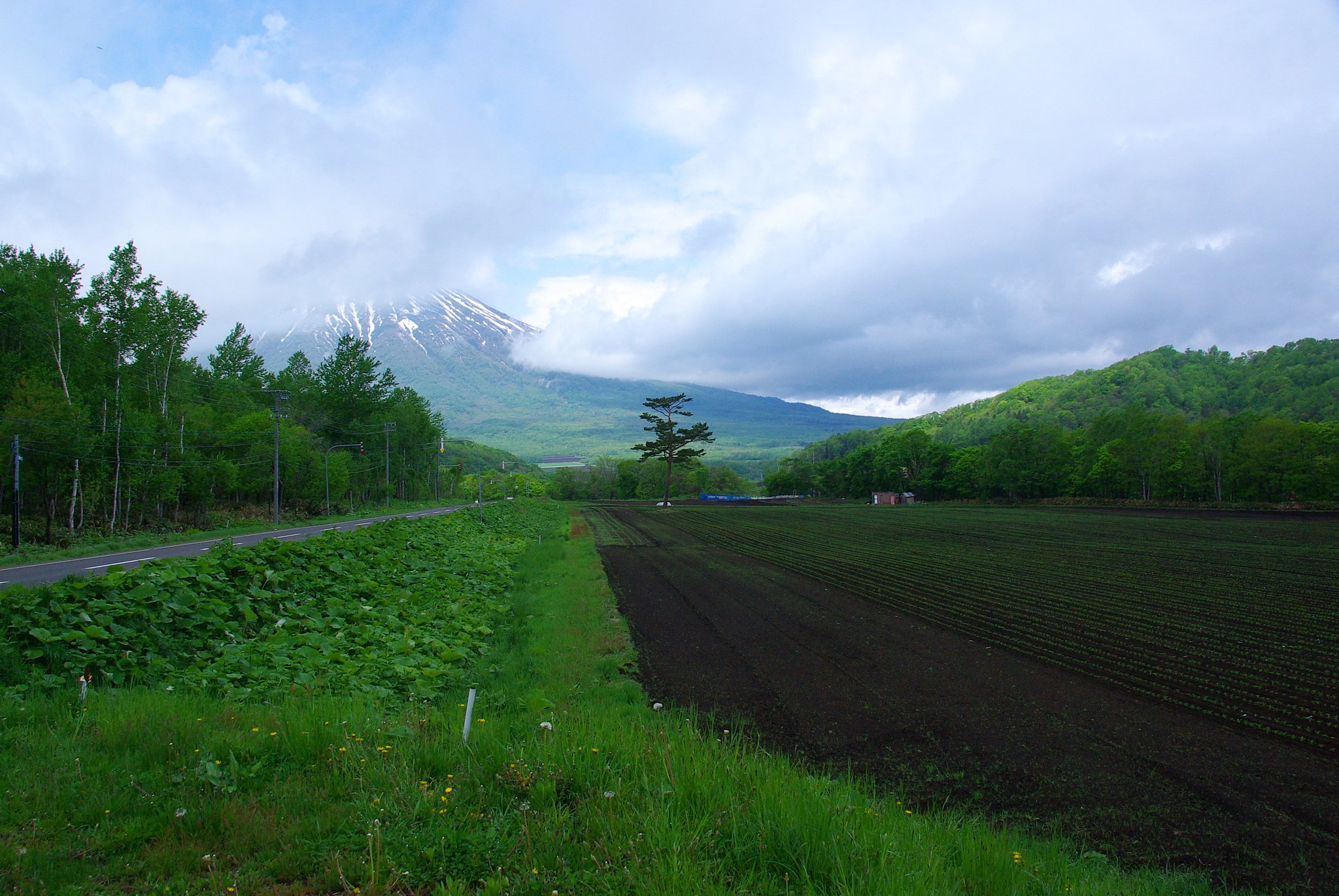 雲間の羊蹄山