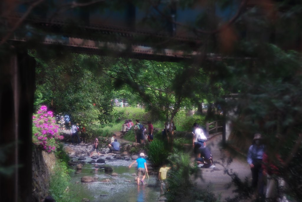 井の頭公園にて