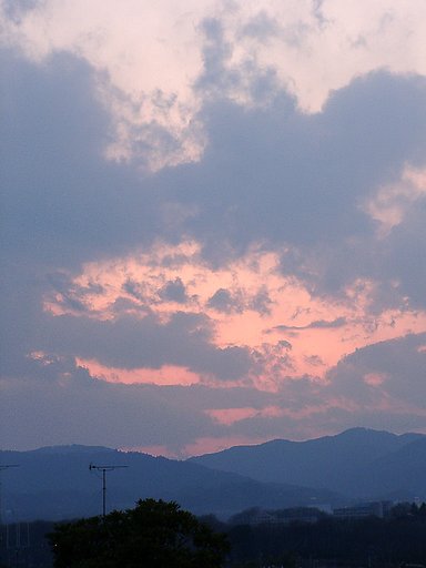 ●ビンク色の夕暮れ