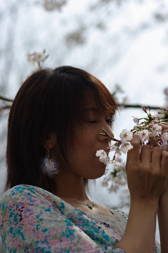 花と華・・・