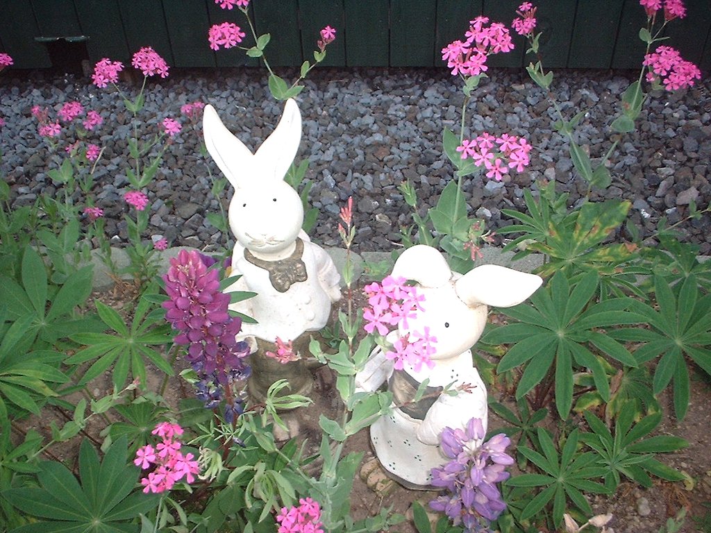 うさぎさ〜ん