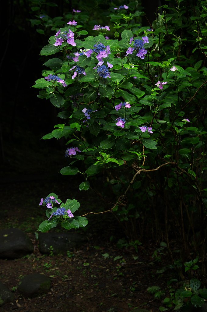 静寂の中に