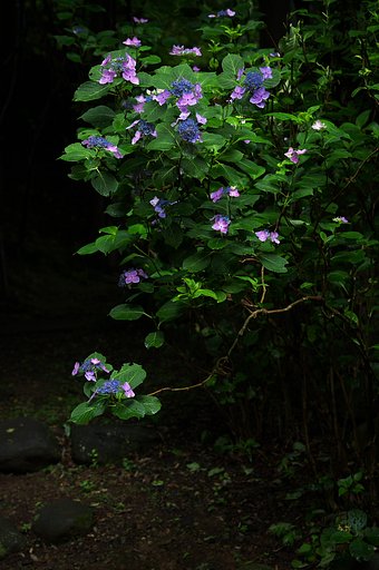静寂の中に