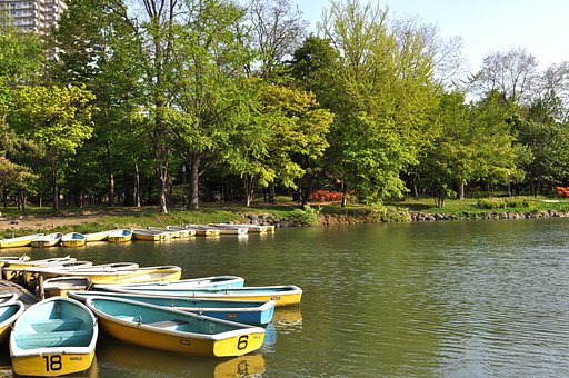 公園