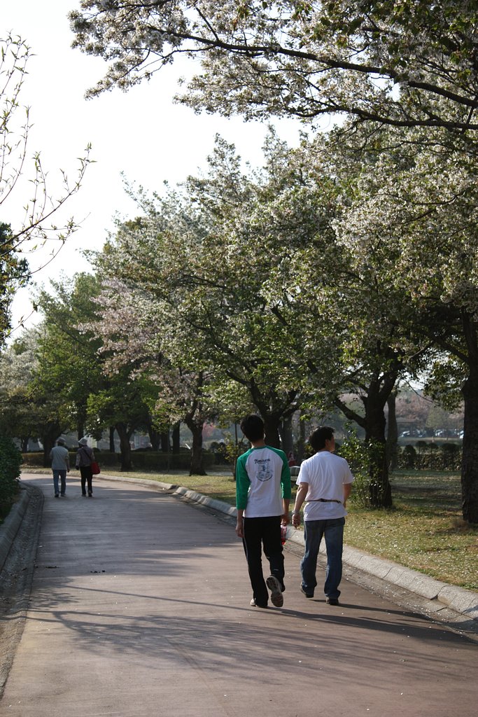 桜と家族