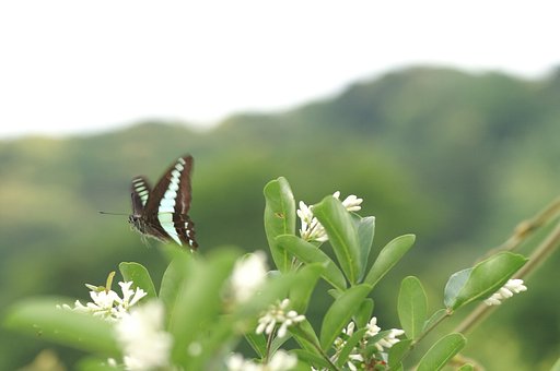 惜しい・・・