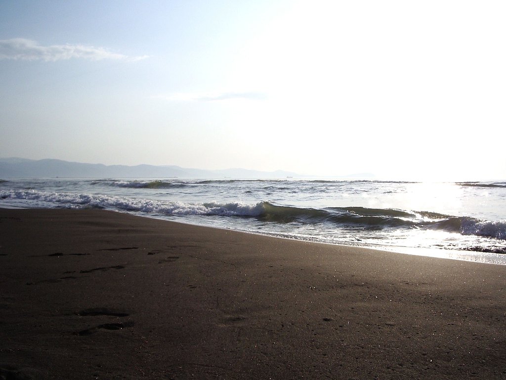 春の海