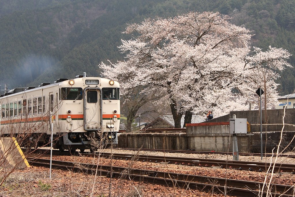 春を運ぶ