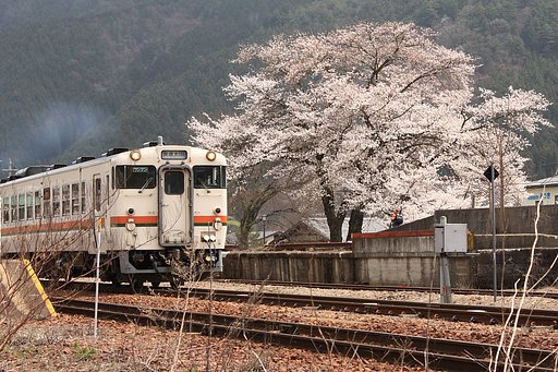 春を運ぶ