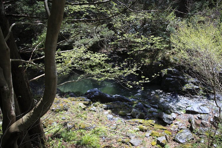 小川の春