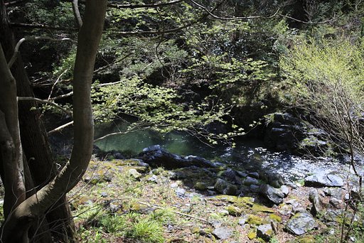 小川の春