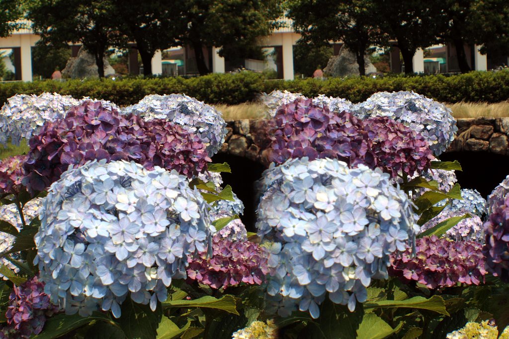 Loreo 3D LENS IN A CAP