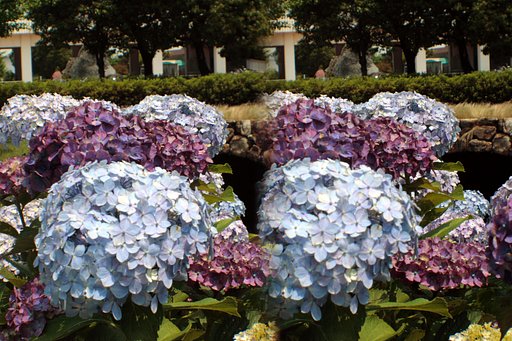 Loreo 3D LENS IN A CAP