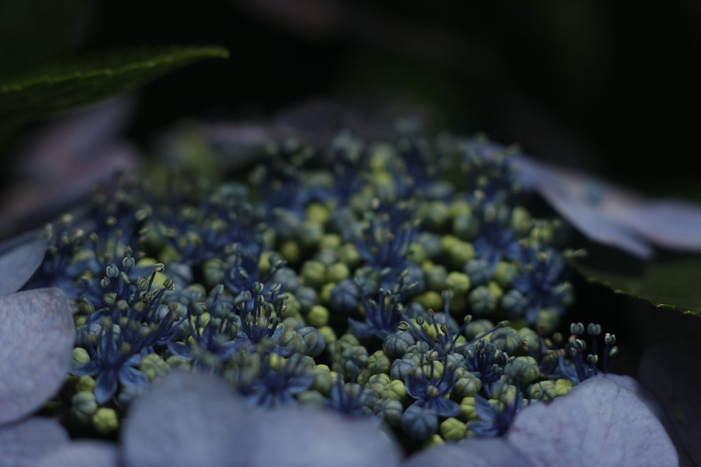 Deep blue