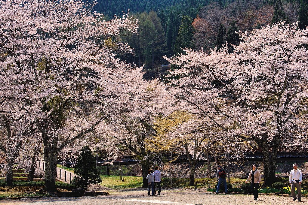 ５月のお題は