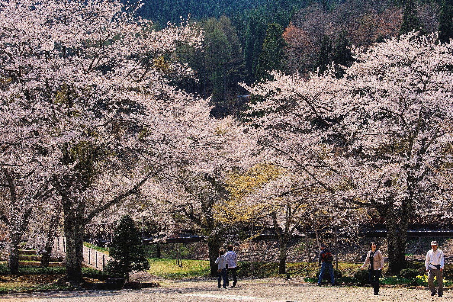 ５月のお題は