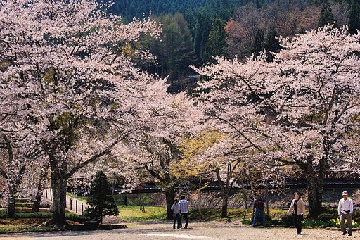 ５月のお題は