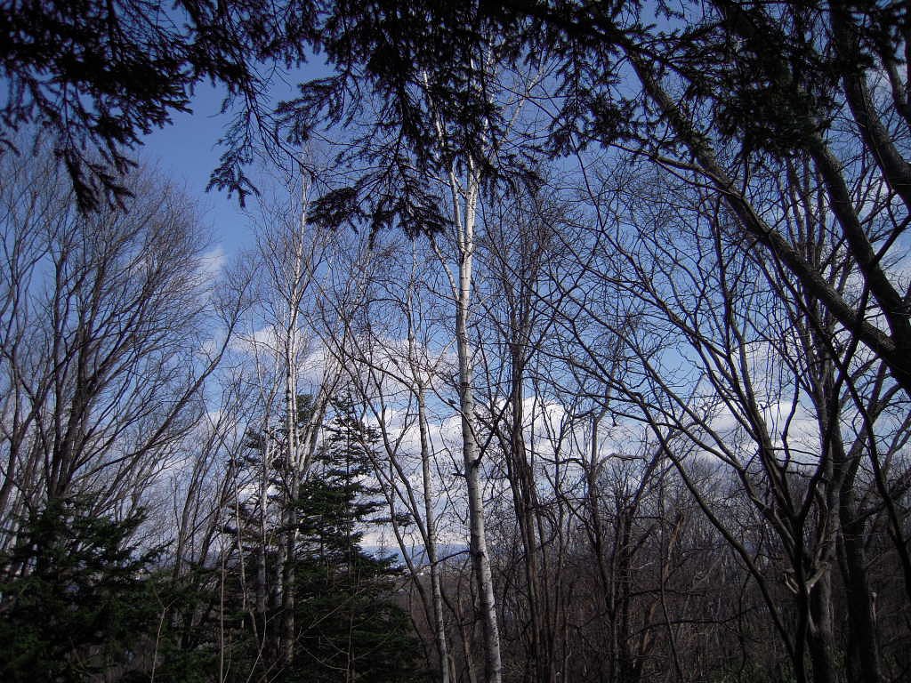 北邦野草園
