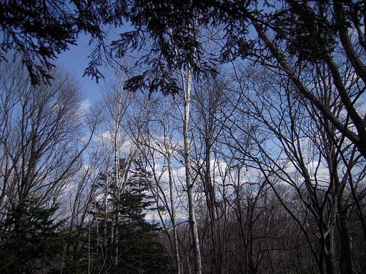 北邦野草園