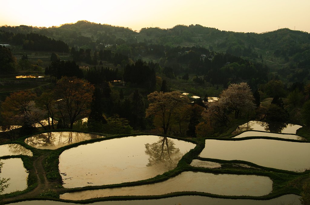 田舎の風景