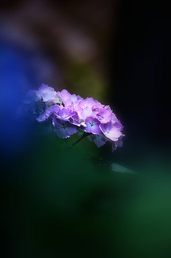 包まれて
